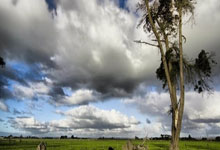 德国足球队表现出色,赢得全部比赛的胜利