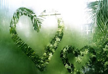 德国足球队表现出色,赢得全部比赛的胜利