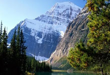 德国足球队表现出色,赢得全部比赛的胜利