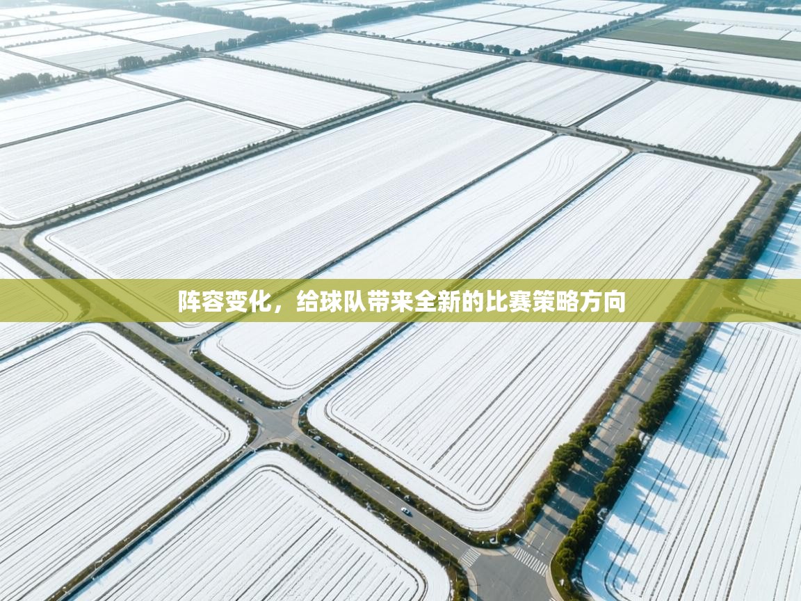 阵容变化，给球队带来全新的比赛策略方向  第2张