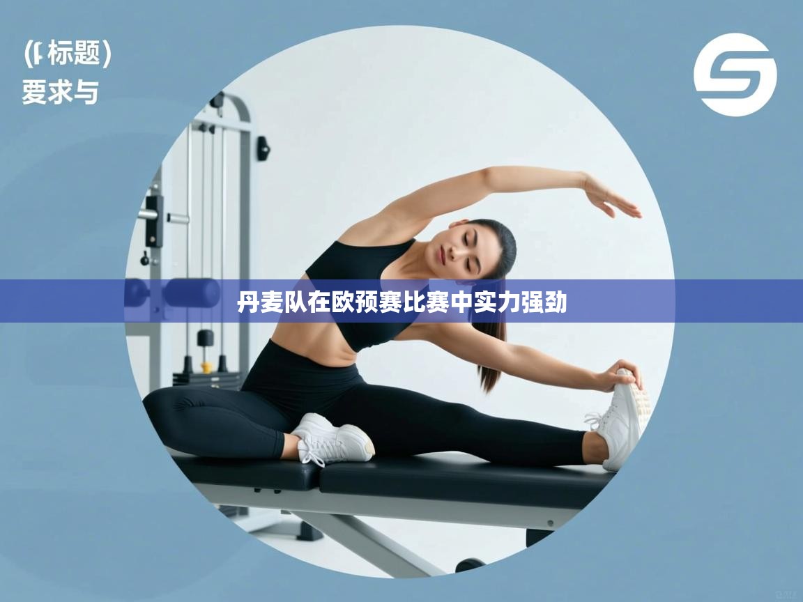 丹麦队在欧预赛比赛中实力强劲  第1张